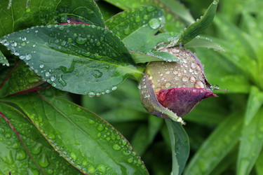 Similar image 21951490