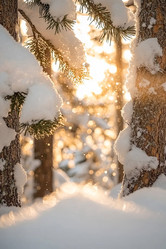 Similar image 21953386