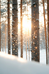 Similar image 21953387