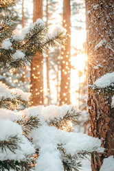 Similar image 21953389