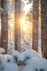 Similar image 21953390