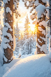 Similar image 21953391