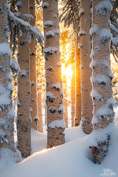 Similar image 21953394