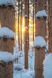 Similar image 21953395