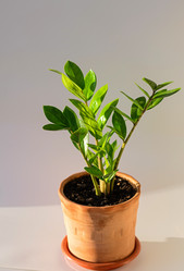 Similar image 21952144