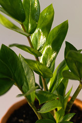 Similar image 21952145