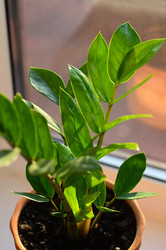 Similar image 21952146