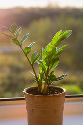 Similar image 21952148