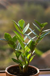 Similar image 21952149