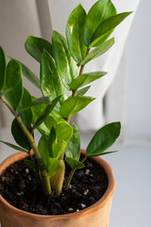 Similar image 21952150