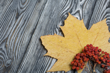 Similar image 21952153