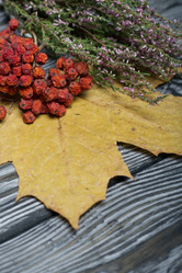 Similar image 21952155