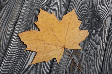 Similar image 21952156