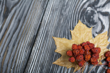 Similar image 21952160