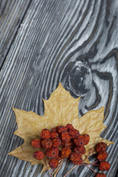 Similar image 21952161