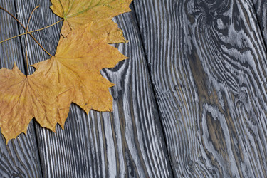 Similar image 21952165