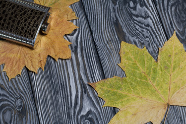 Similar image 21952167