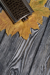 Similar image 21952169