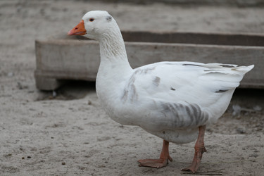 Similar image 21976041