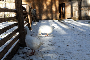 Similar image 21976042