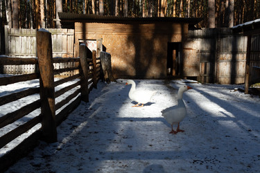 Similar image 21976069