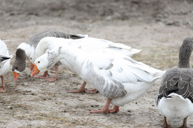 Similar image 21976072