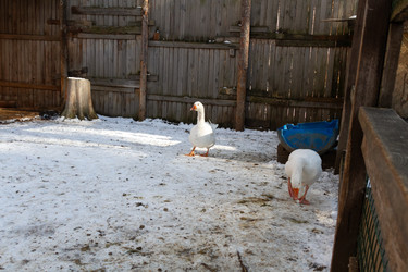 Similar image 21976082