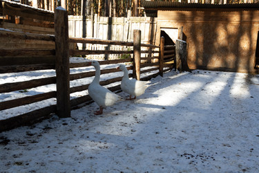 Similar image 21976083