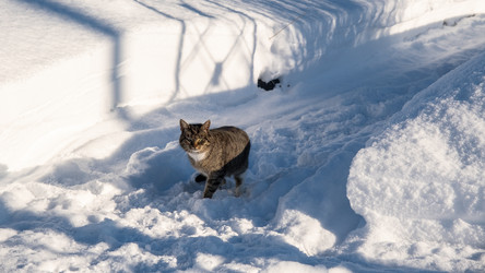 Similar image 21953247