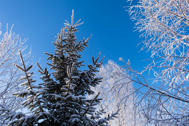 Similar image 21953249