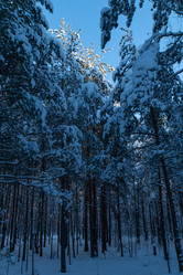 Similar image 21968572