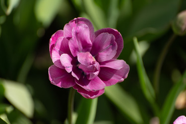 Similar image 21952196