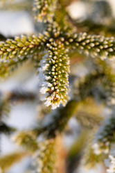 Similar image 21962258