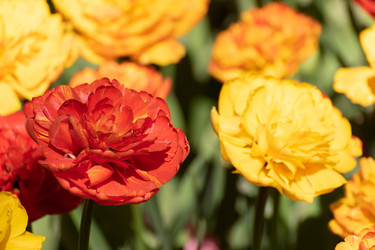 Similar image 21952197