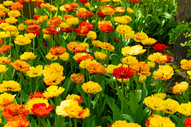 Similar image 21952198