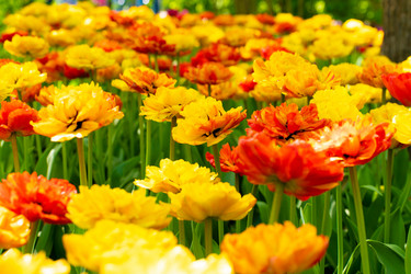 Similar image 21952199