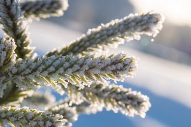 Similar image 21962259