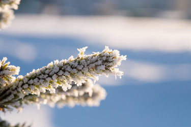 Similar image 21962260