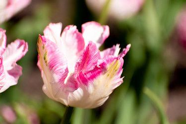 Similar image 21952201