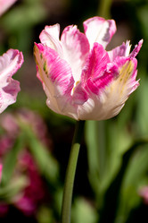 Similar image 21952203