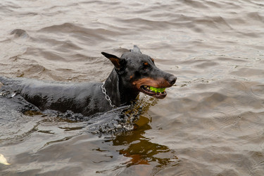 Similar image 21952204