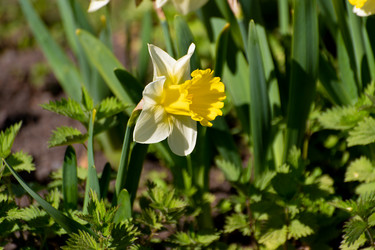 Similar image 21952205