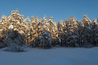 Similar image 21962266