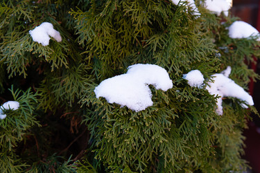 Similar image 21962269