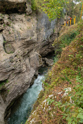 Similar image 21962271