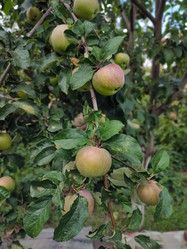 Similar image 21953251