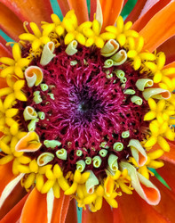 Similar image 21953252