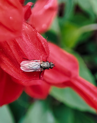 Similar image 21953253