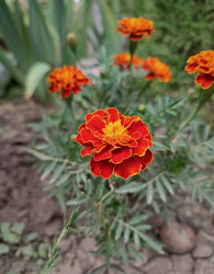 Similar image 21953254