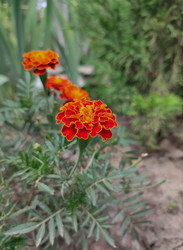 Similar image 21953255